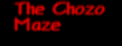 The Chozo Maze
